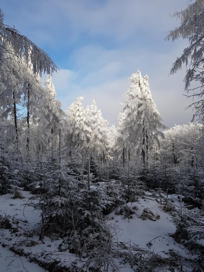 Вилла Gniewnik Pcim Экстерьер фото